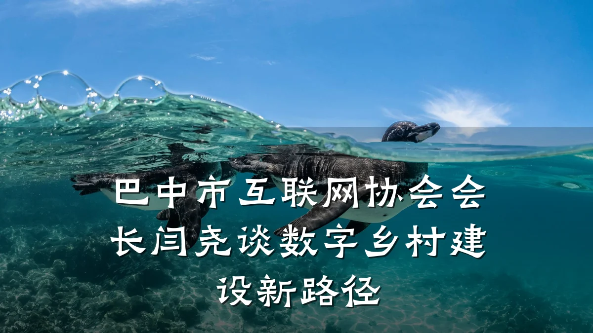 巴中市互联网协会会长闫尧谈数字乡村建设新路径