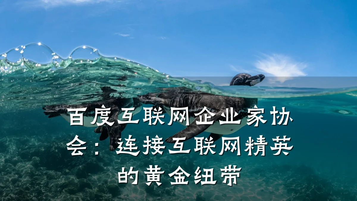 百度互联网企业家协会:连接互联网精英的黄金纽带