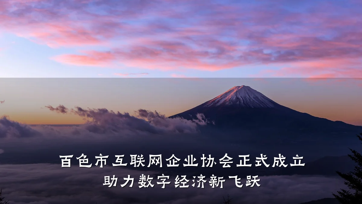 百色市互联网企业协会正式成立 助力数字经济新飞跃