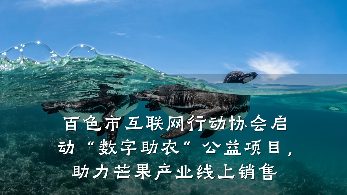 百色市互联网行动协会启动“数字助农”公益项目,助力芒果产业线上销售