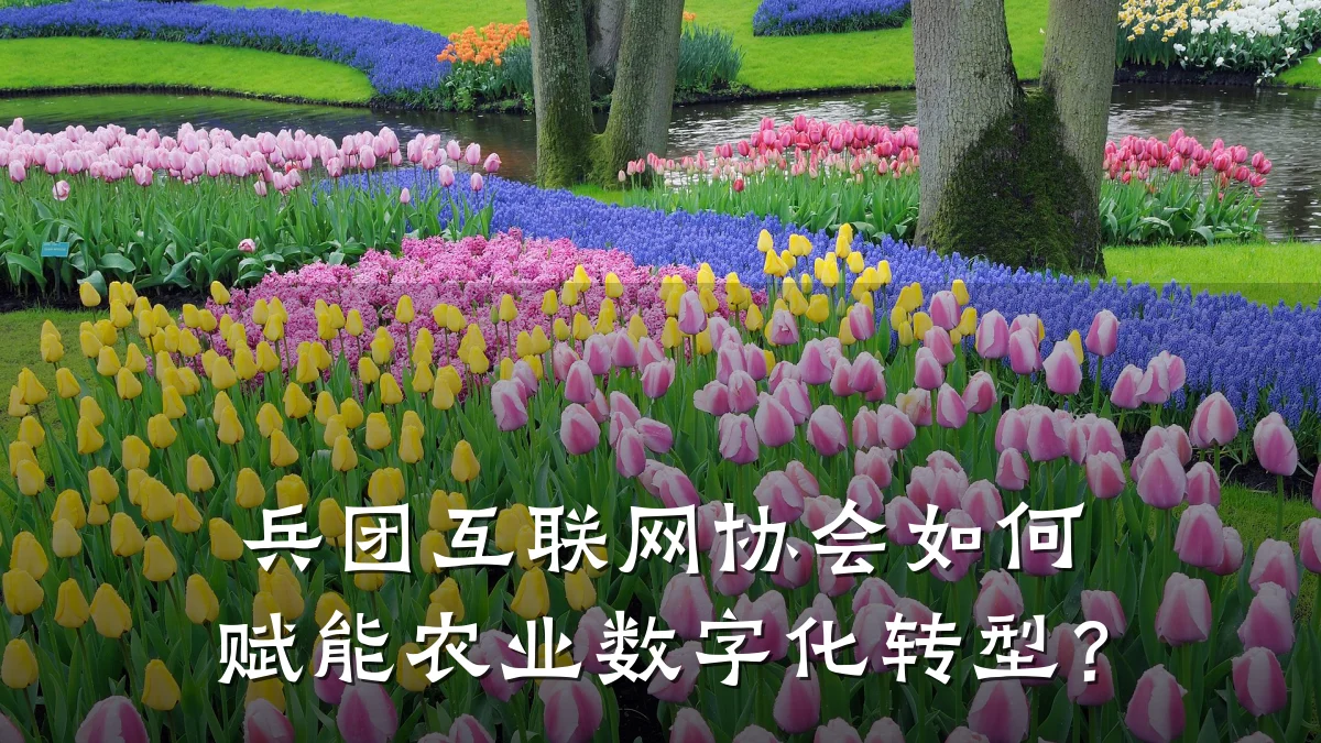 兵团互联网协会如何赋能农业数字化转型?