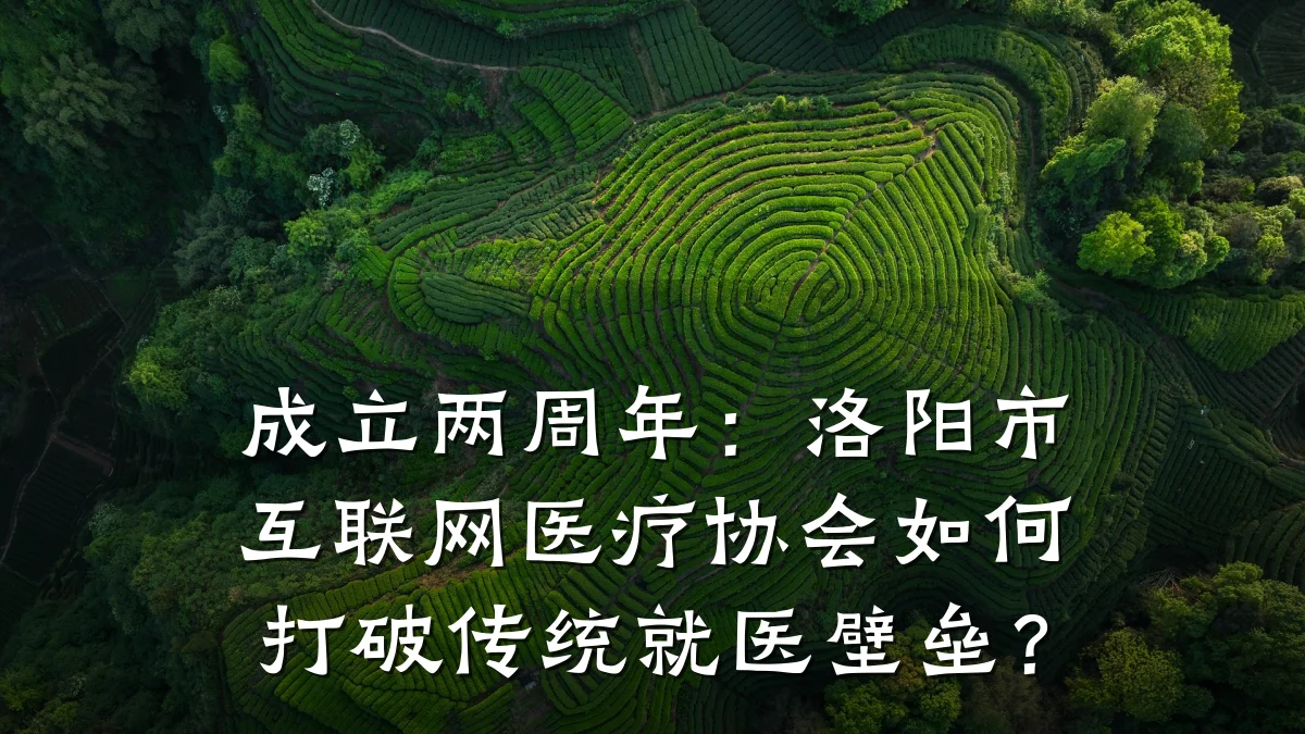 成立两周年:洛阳市互联网医疗协会如何打破传统就医壁垒?