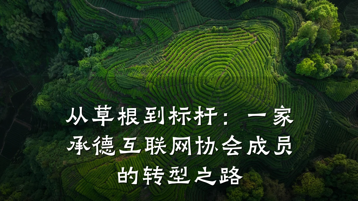 从草根到标杆:一家承德互联网协会成员的转型之路