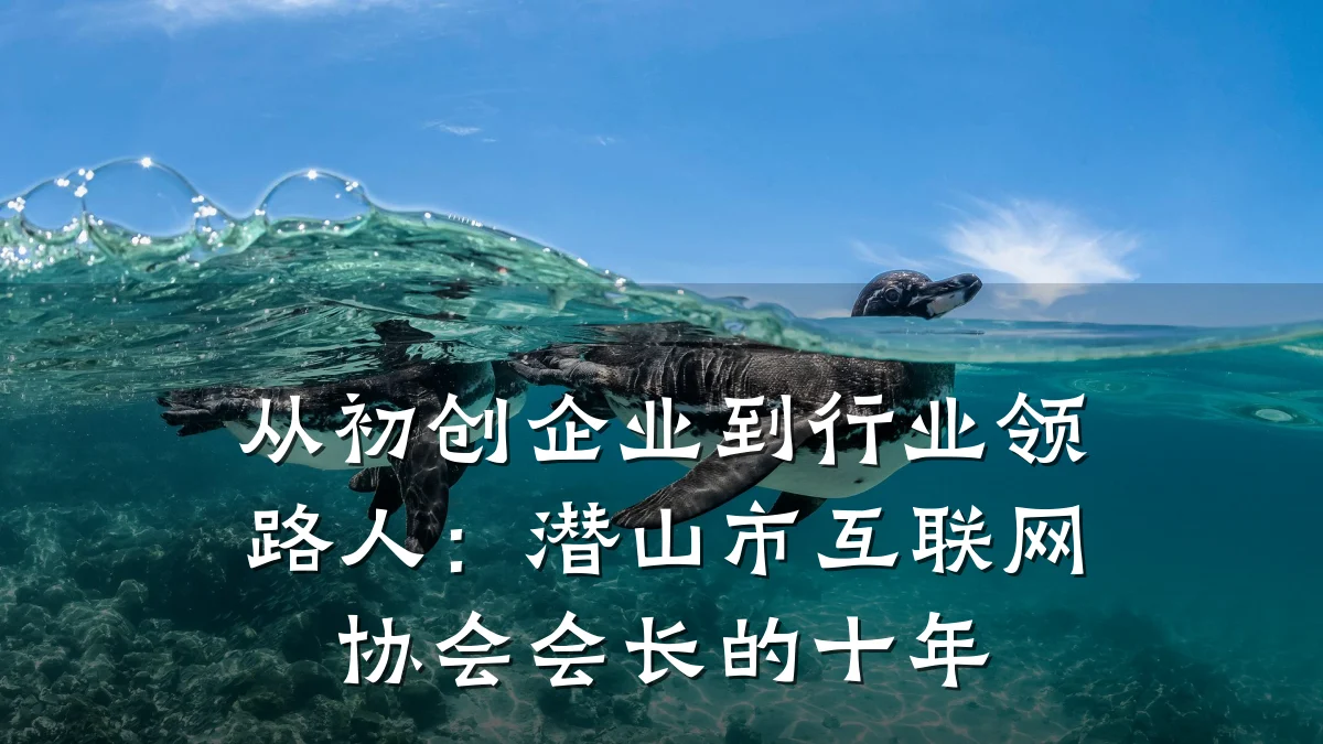 从初创企业到行业领路人:潜山市互联网协会会长的十年