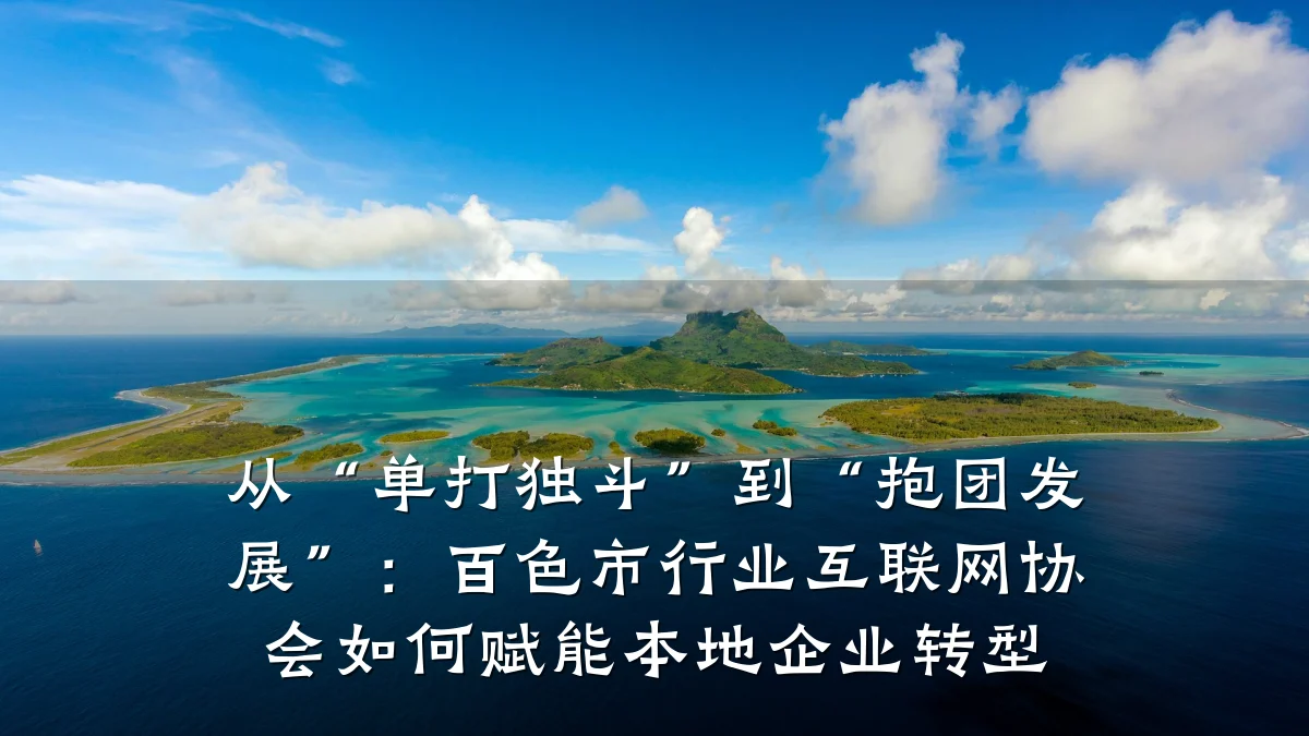 从“单打独斗”到“抱团发展”:百色市行业互联网协会如何赋能本地企业转型