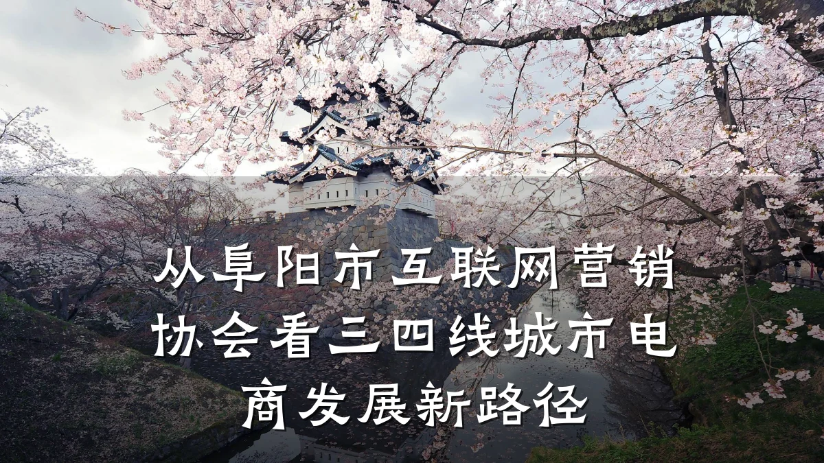从阜阳市互联网营销协会看三四线城市电商发展新路径