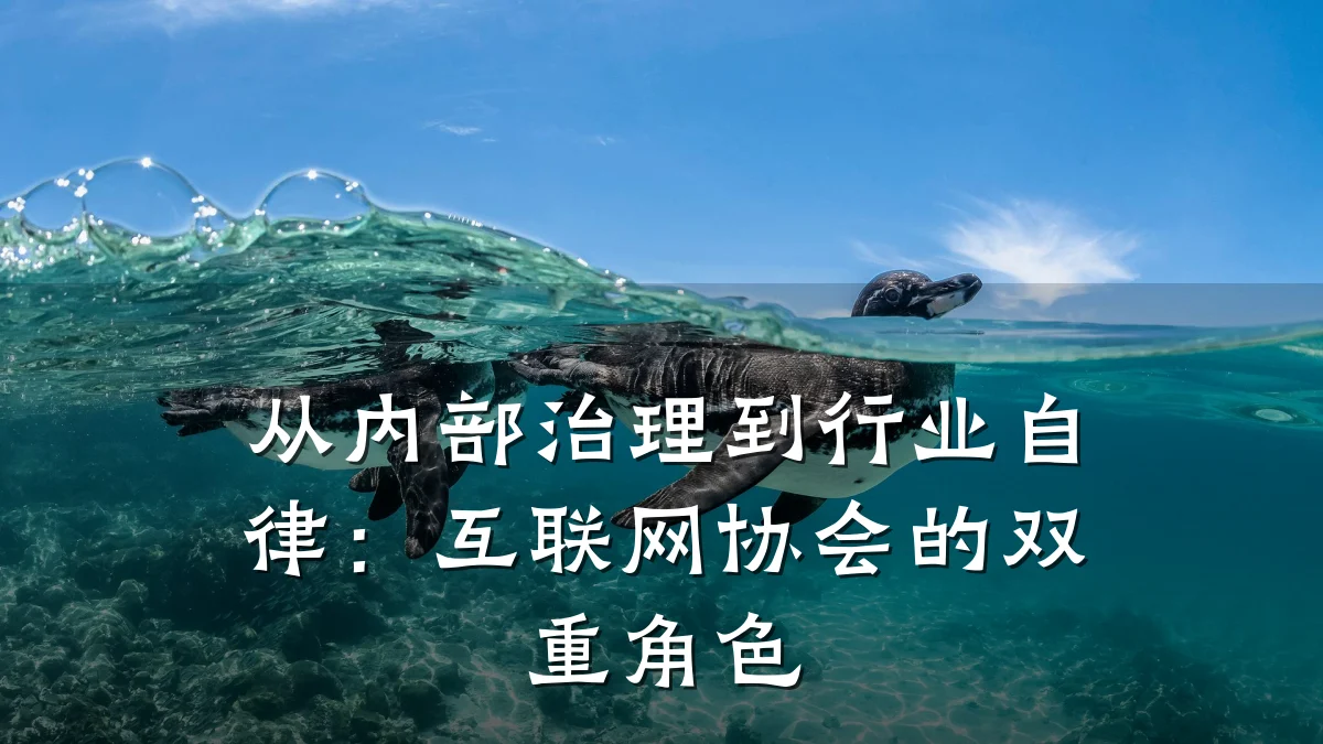 从内部治理到行业自律:互联网协会的双重角色
