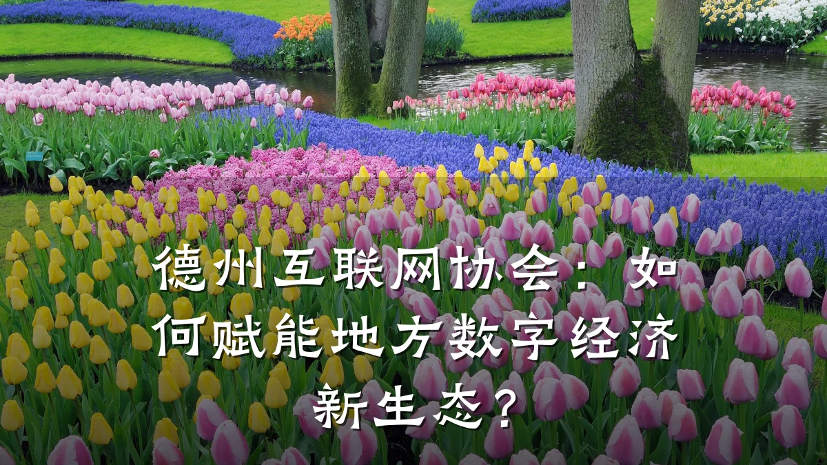 德州互联网协会:如何赋能地方数字经济新生态?