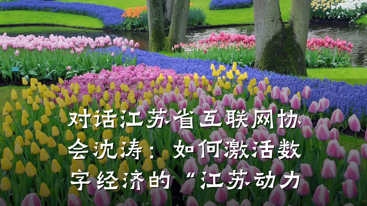 对话江苏省互联网协会沈涛:如何激活数字经济的“江苏动力
