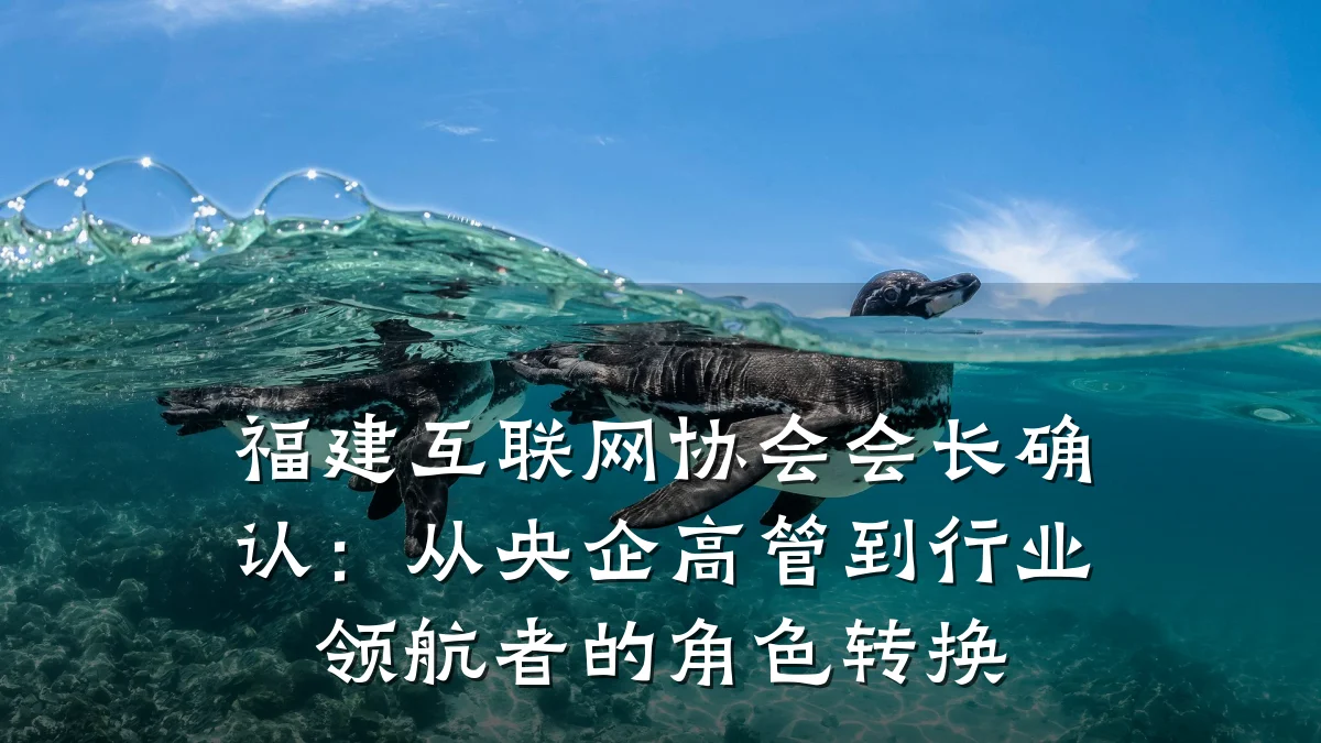福建互联网协会会长确认:从央企高管到行业领航者的角色转换