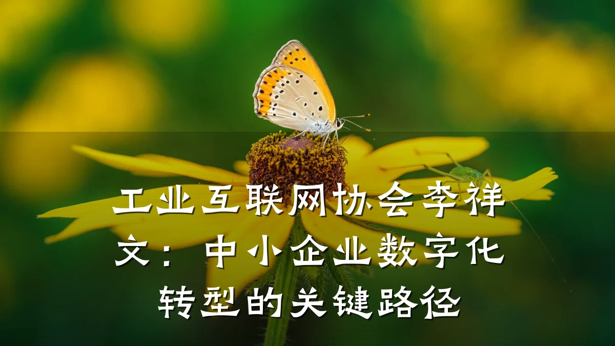 工业互联网协会李祥文:中小企业数字化转型的关键路径