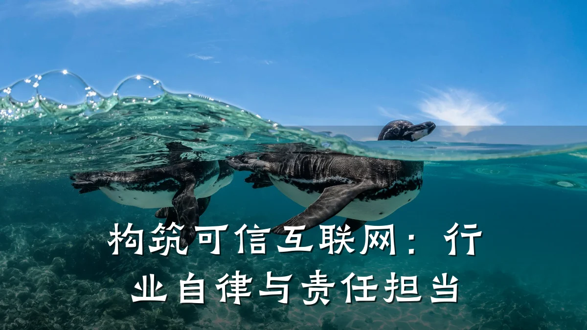 构筑可信互联网:行业自律与责任担当