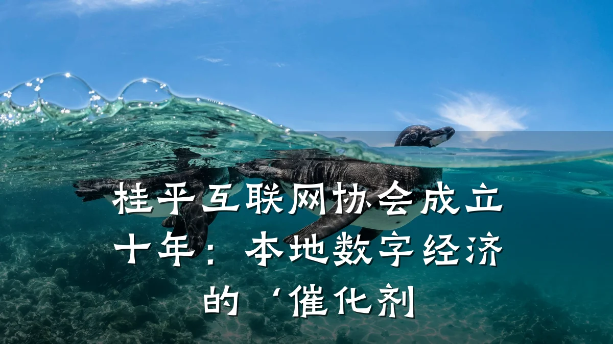 桂平互联网协会成立十年:本地数字经济的‘催化剂