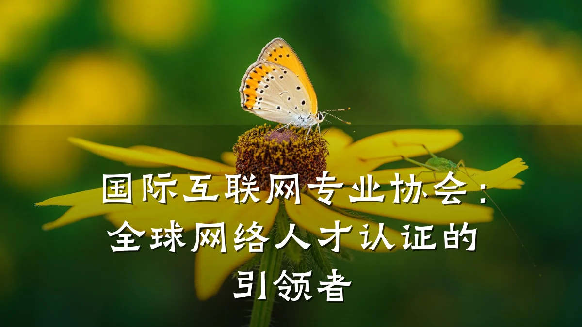 国际互联网专业协会:全球网络人才认证的引领者