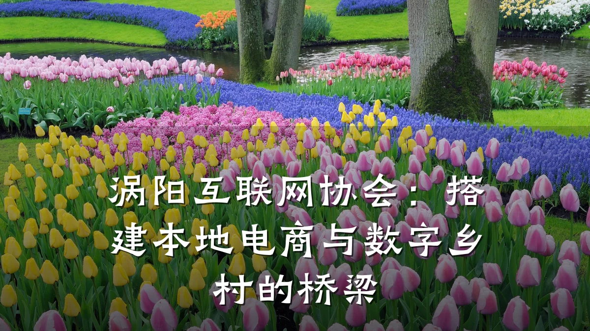 涡阳互联网协会:搭建本地电商与数字乡村的桥梁