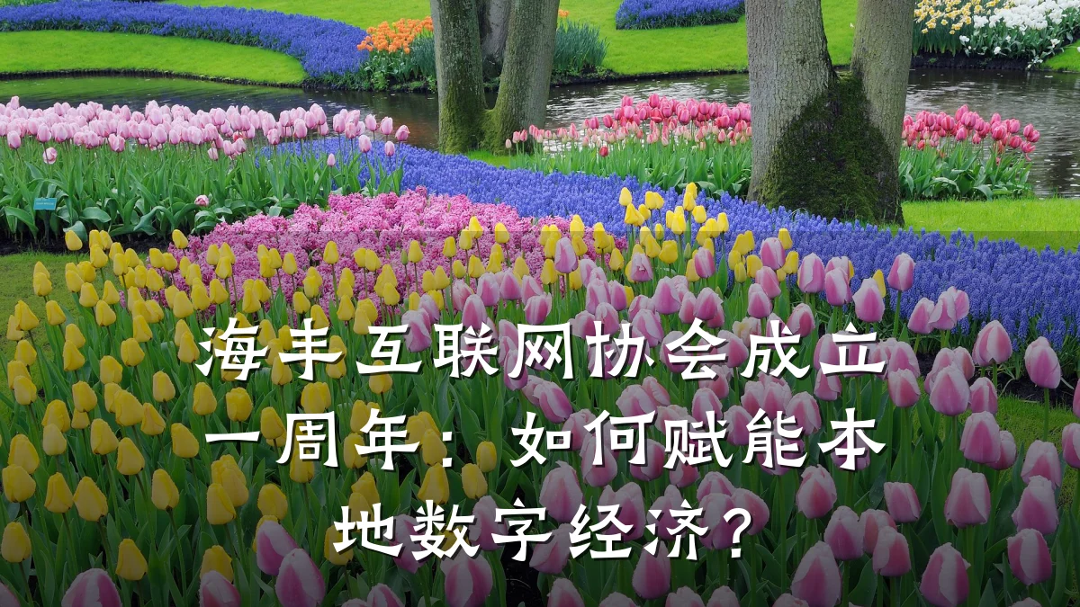 海丰互联网协会成立一周年:如何赋能本地数字经济?