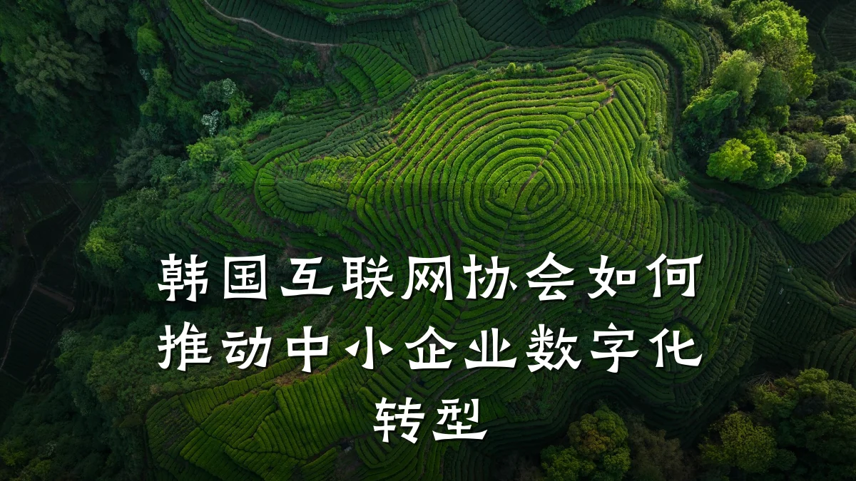 韩国互联网协会如何推动中小企业数字化转型