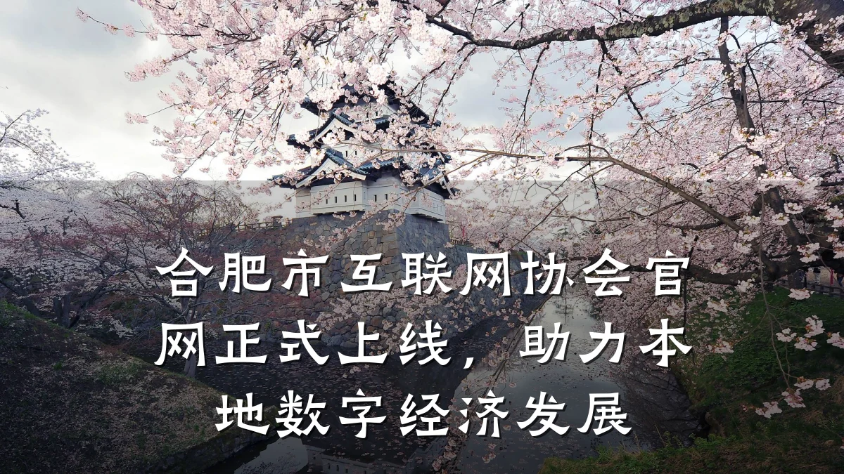 合肥市互联网协会官网正式上线,助力本地数字经济发展