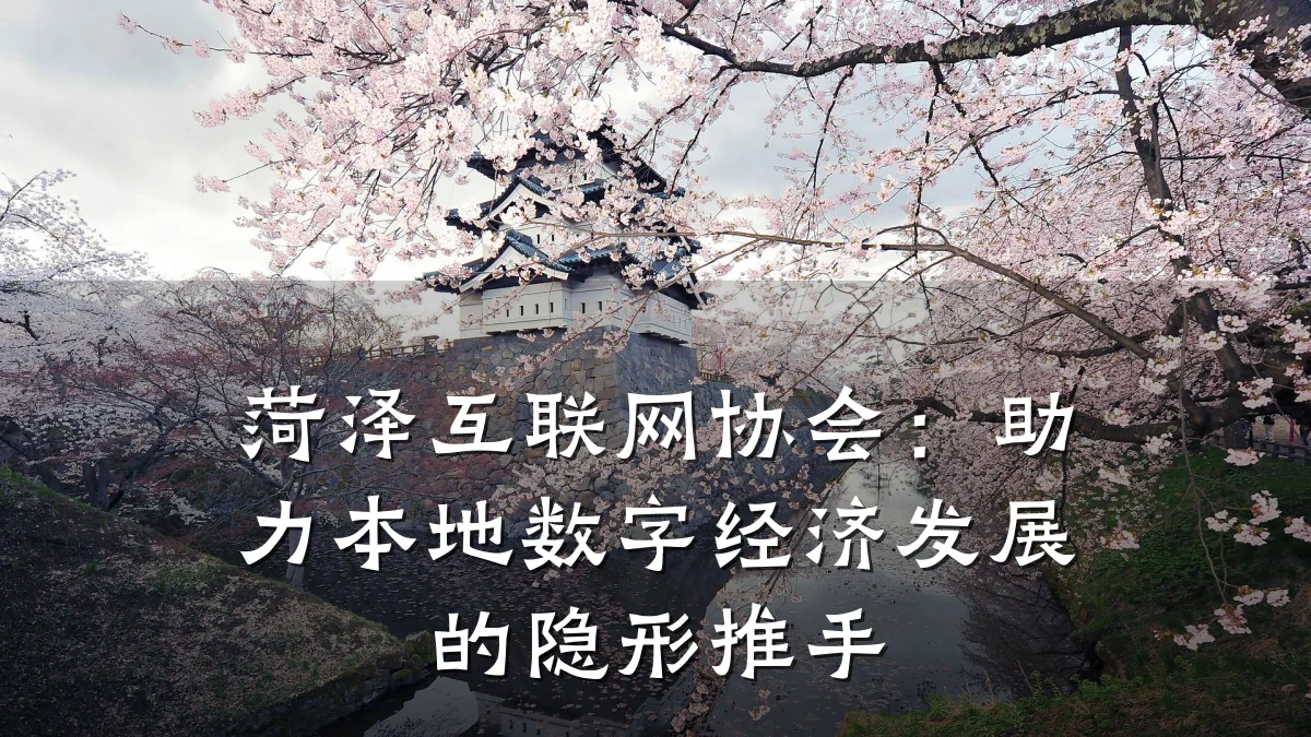 菏泽互联网协会:助力本地数字经济发展的隐形推手