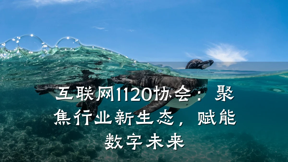 互联网1120协会:聚焦行业新生态,赋能数字未来