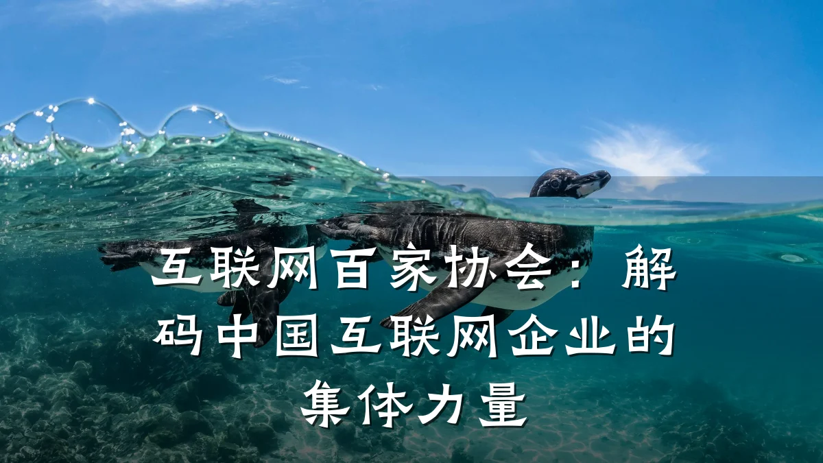 互联网百家协会:解码中国互联网企业的集体力量