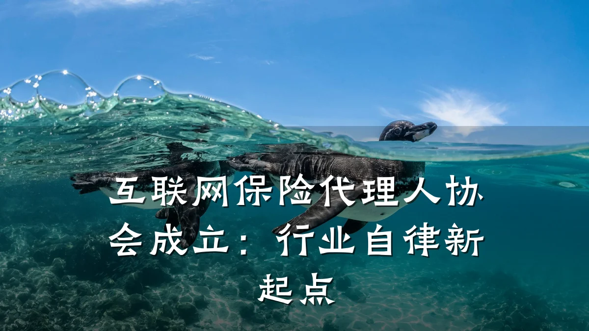 互联网保险代理人协会成立:行业自律新起点