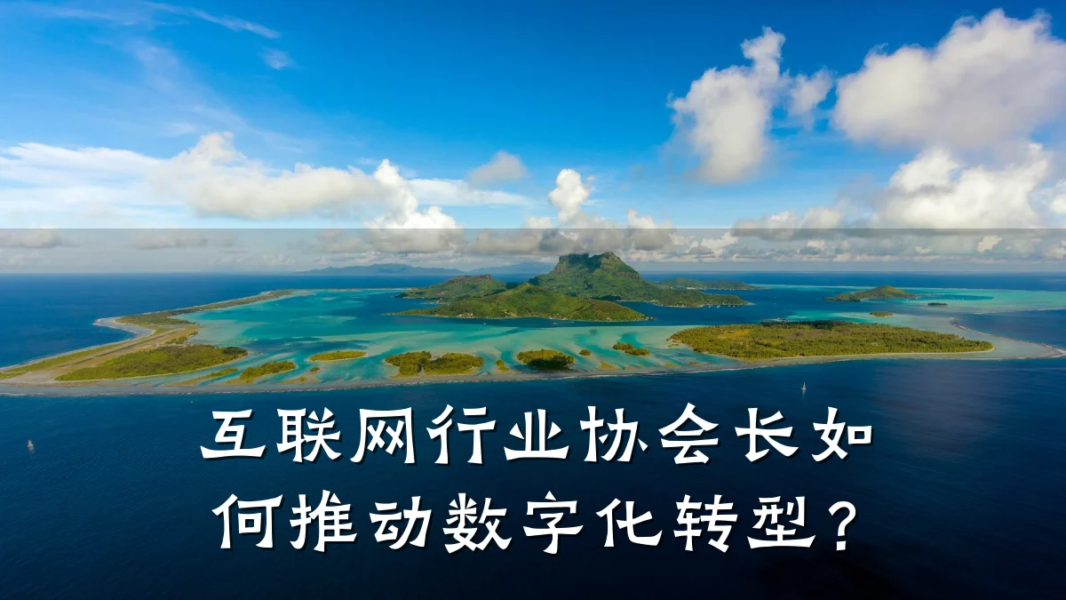 互联网行业协会长如何推动数字化转型?