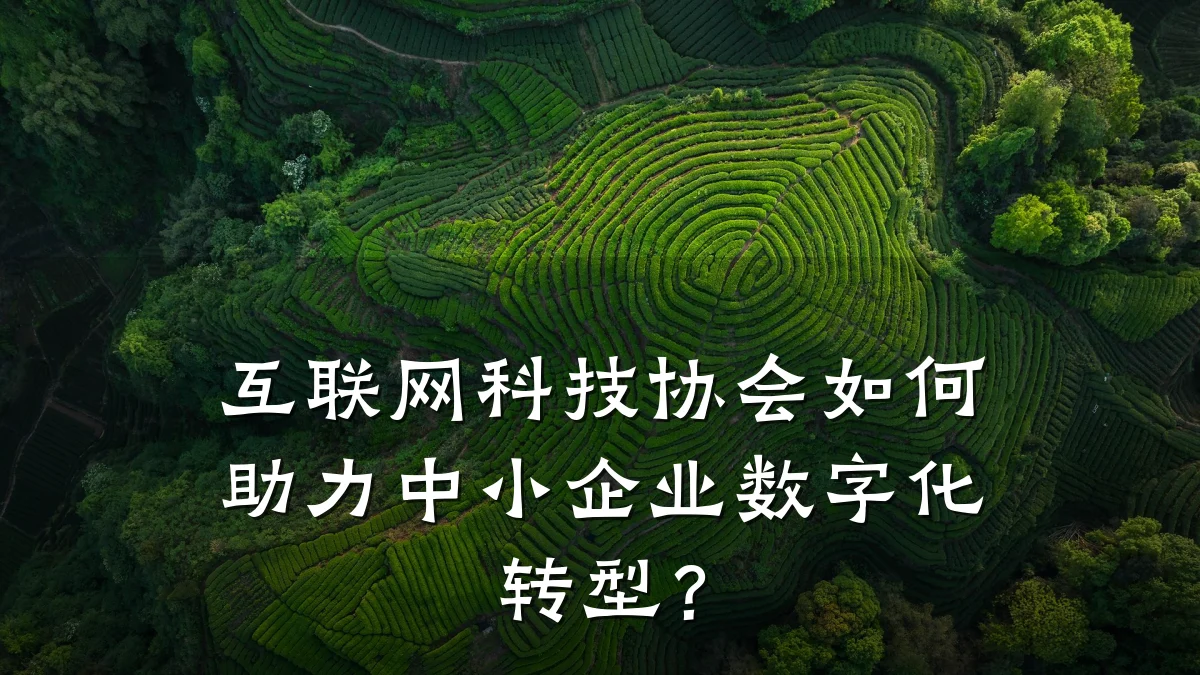 互联网科技协会如何助力中小企业数字化转型?