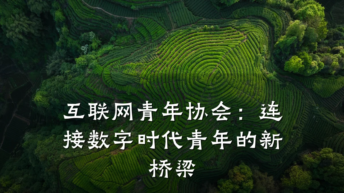互联网青年协会:连接数字时代青年的新桥梁