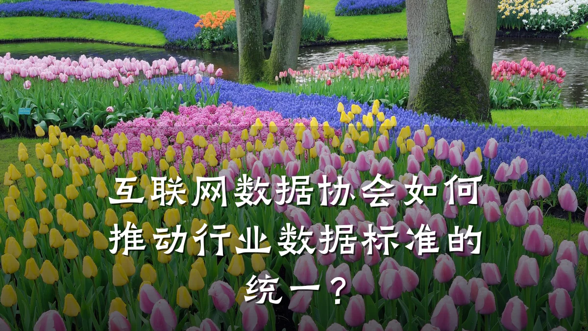 互联网数据协会如何推动行业数据标准的统一?