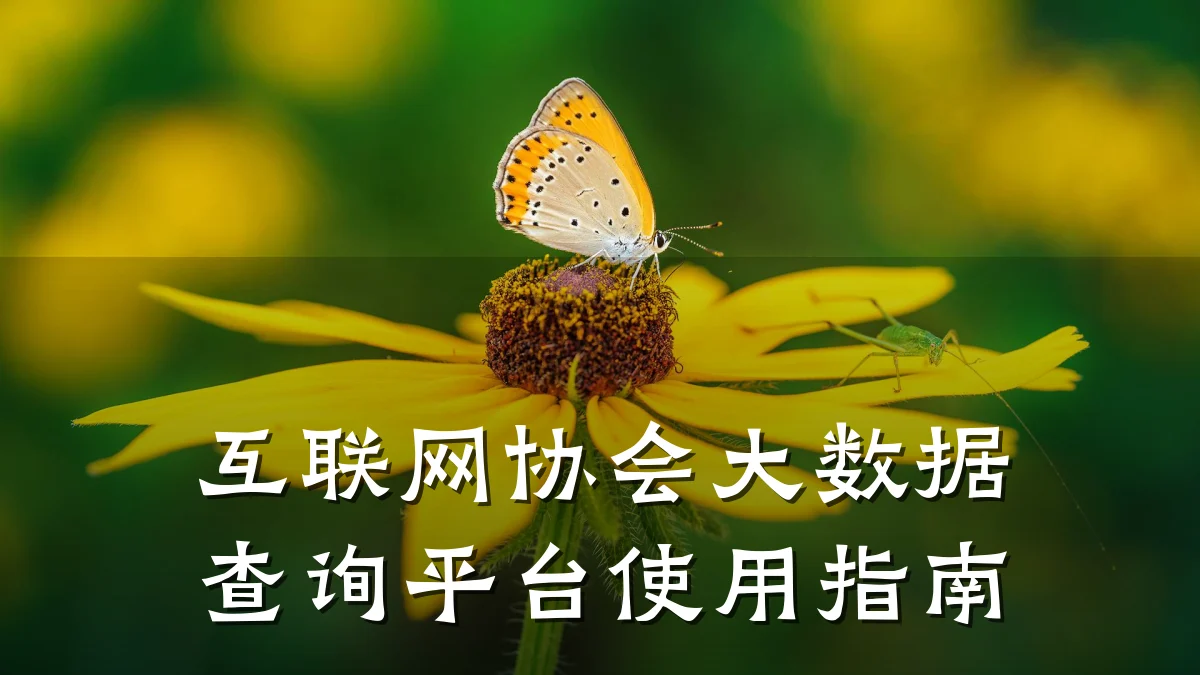 互联网协会大数据查询平台使用指南