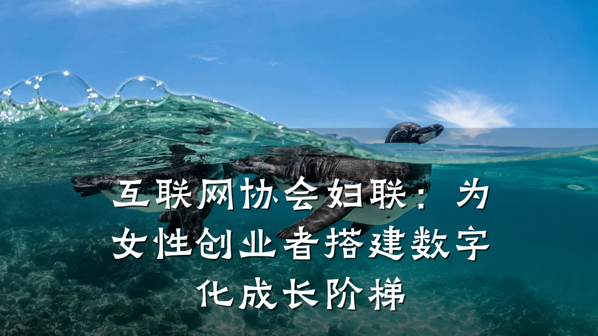 互联网协会妇联:为女性创业者搭建数字化成长阶梯