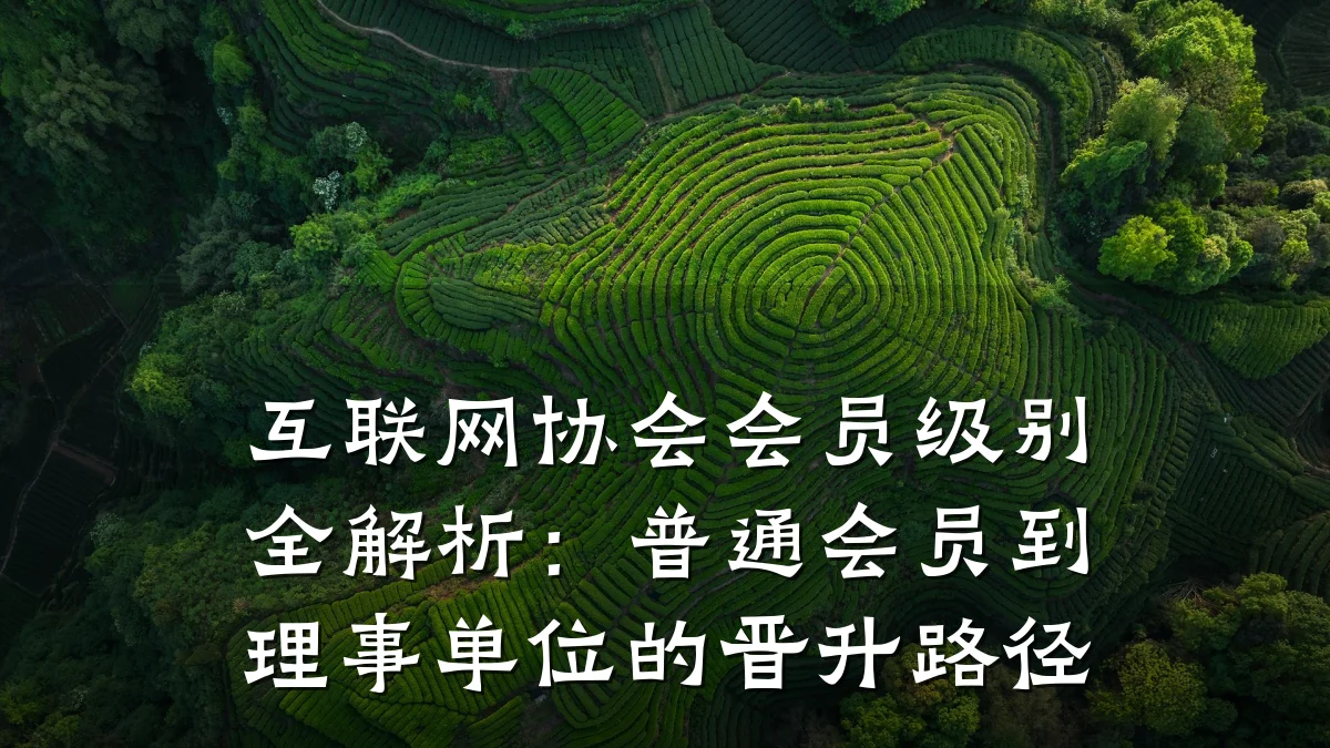 互联网协会会员级别全解析：普通会员到理事单位的晋升路径