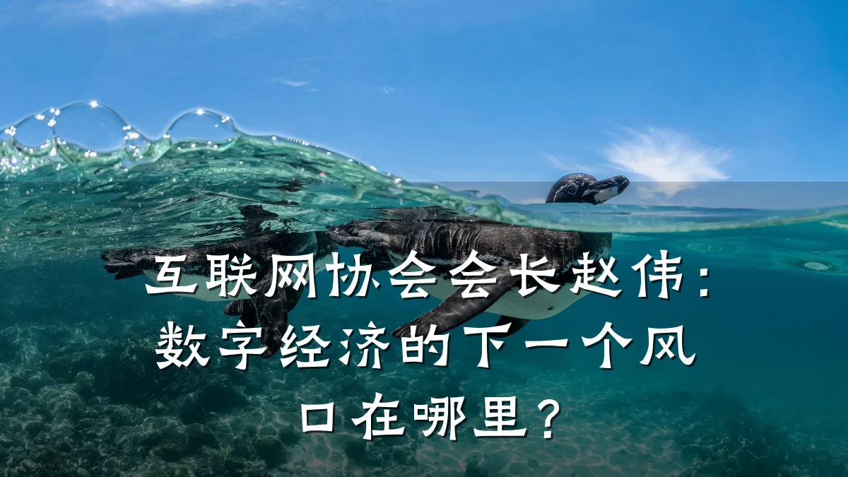 互联网协会会长赵伟:数字经济的下一个风口在哪里?