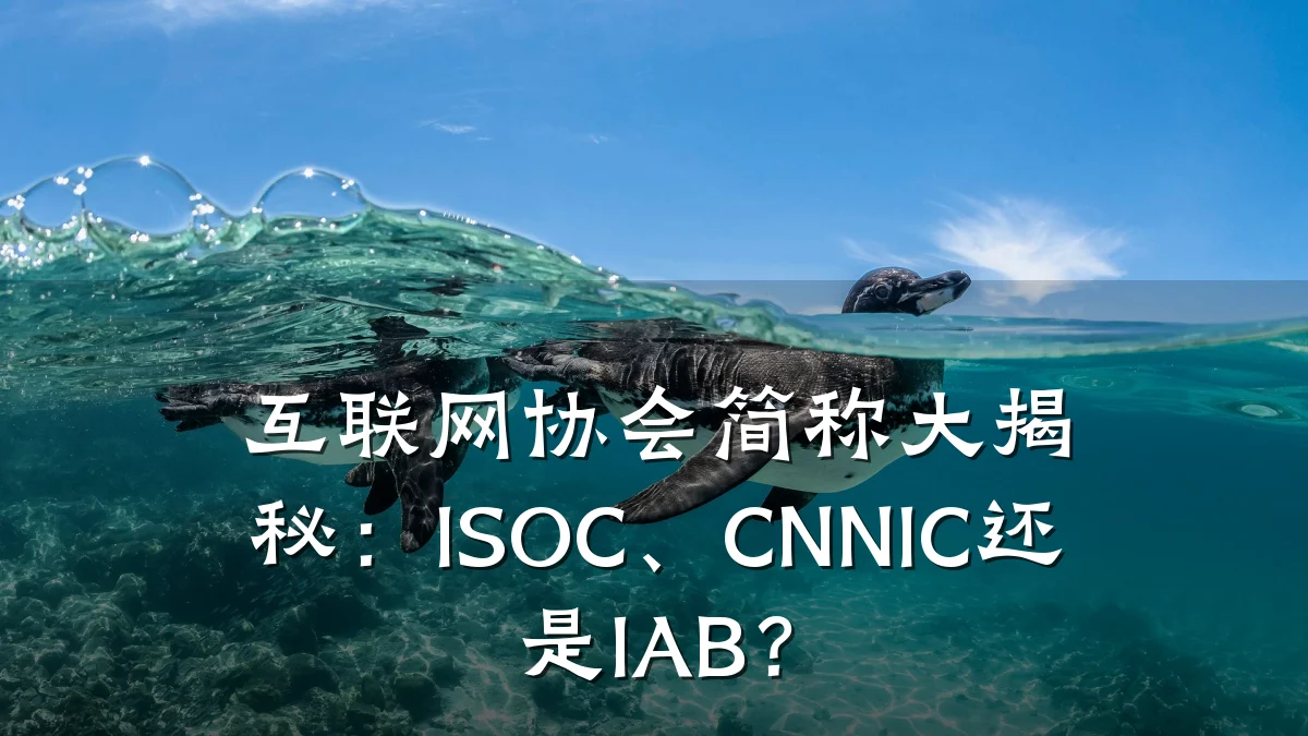互联网协会简称大揭秘:ISOC、CNNIC还是IAB?