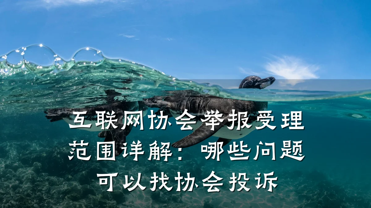 互联网协会举报受理范围详解:哪些问题可以找协会投诉