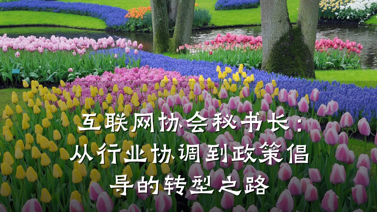 互联网协会秘书长:从行业协调到政策倡导的转型之路