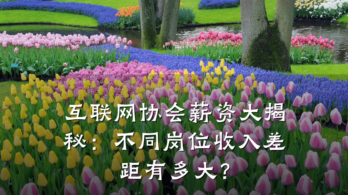 互联网协会薪资大揭秘:不同岗位收入差距有多大?