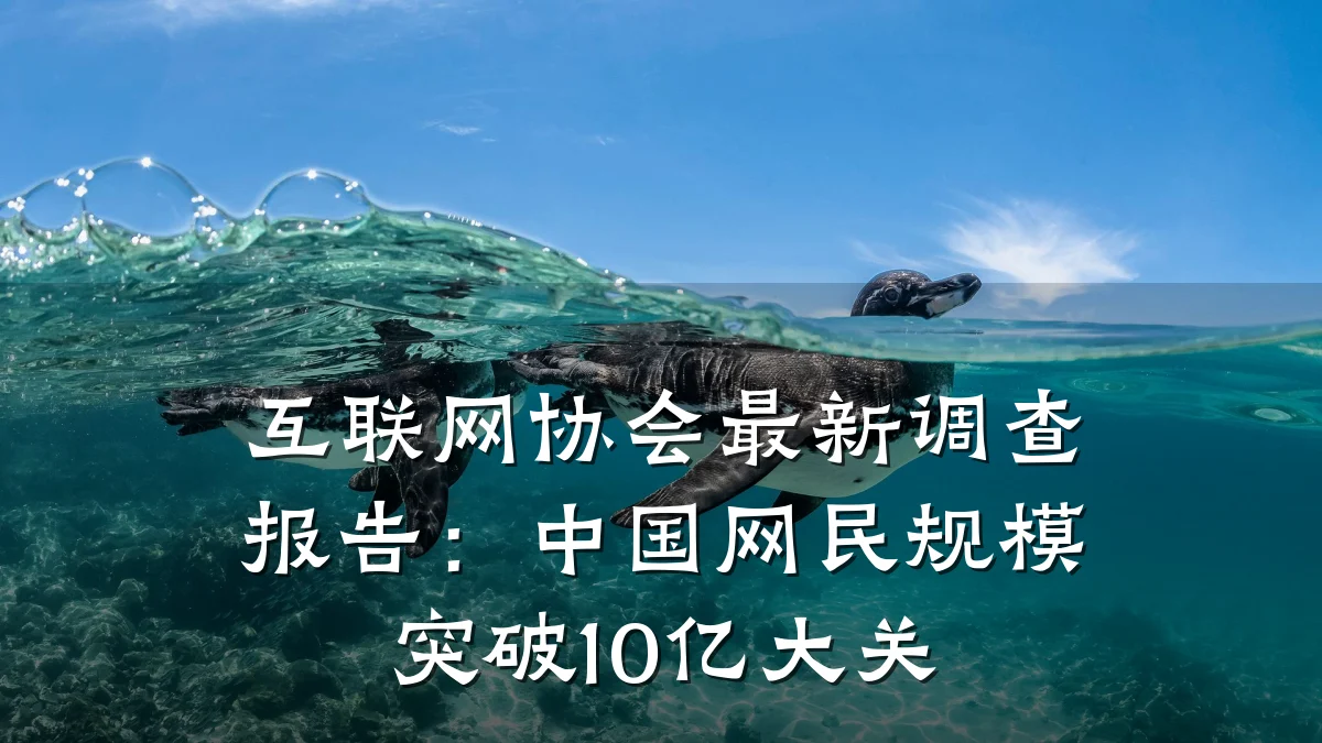 互联网协会最新调查报告:中国网民规模突破10亿大关