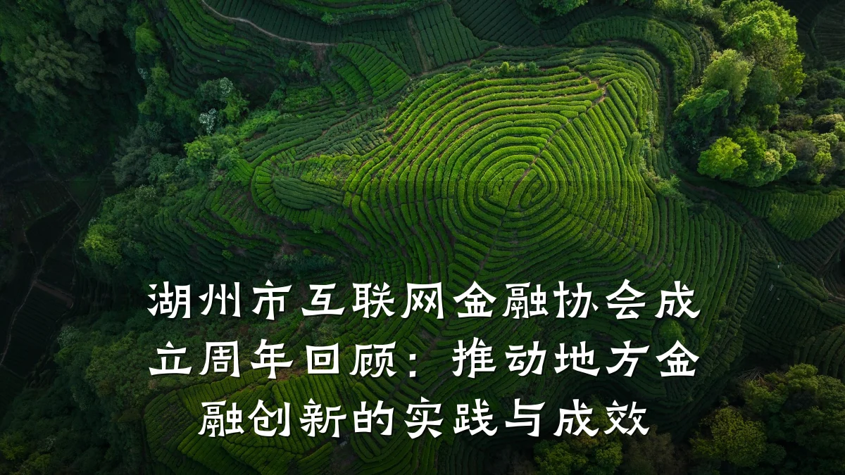 湖州市互联网金融协会成立周年回顾:推动地方金融创新的实践与成效