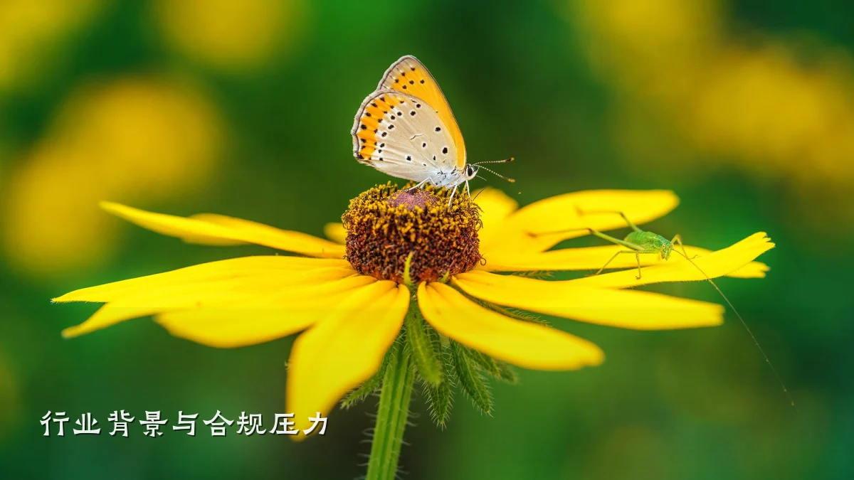 行业背景与合规压力