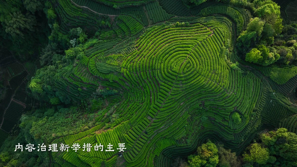 内容治理新举措的主要