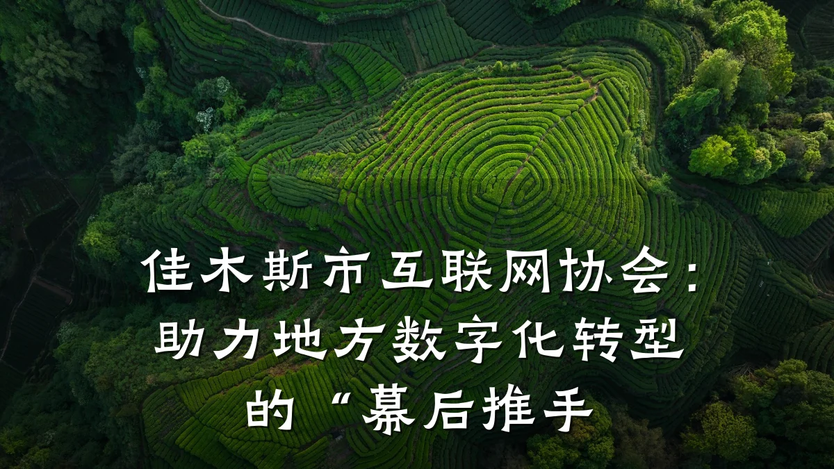 佳木斯市互联网协会:助力地方数字化转型的“幕后推手