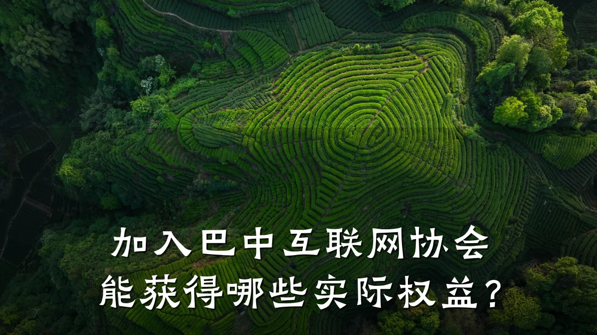 加入巴中互联网协会能获得哪些实际权益？