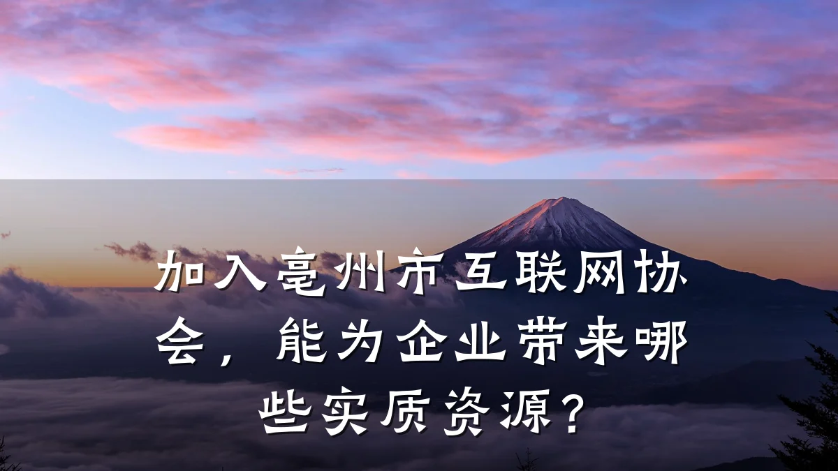 加入亳州市互联网协会,能为企业带来哪些实质资源?