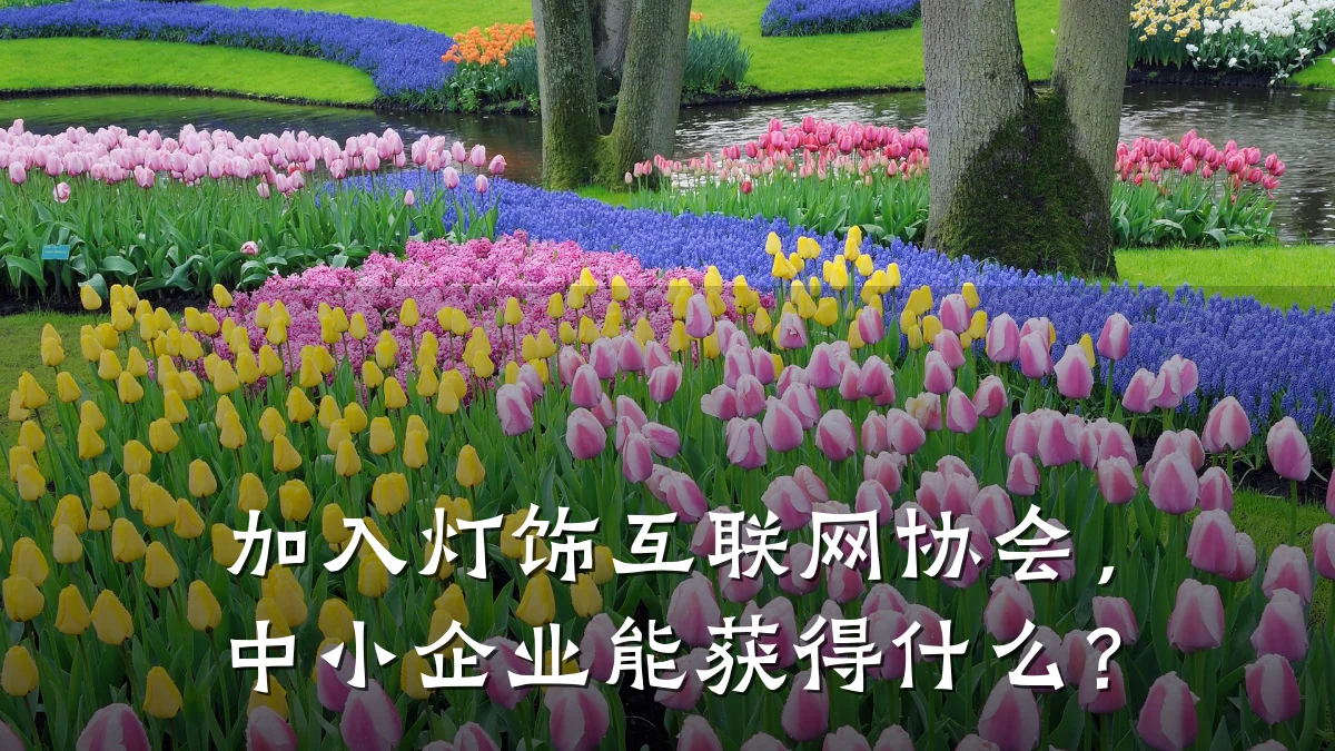 加入灯饰互联网协会，中小企业能获得什么？