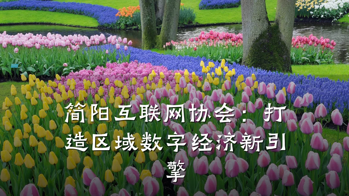 简阳互联网协会:打造区域数字经济新引擎