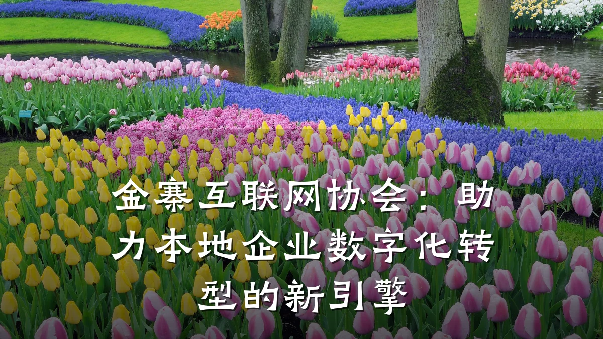 金寨互联网协会：助力本地企业数字化转型的新引擎