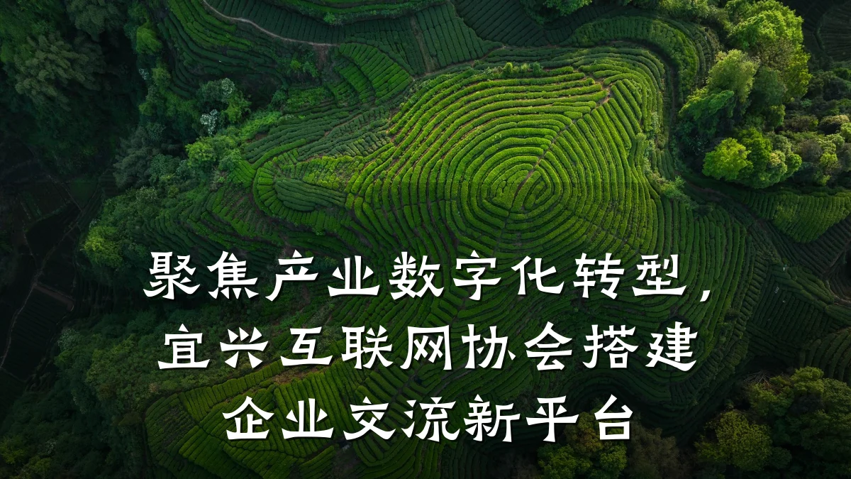 聚焦产业数字化转型,宜兴互联网协会搭建企业交流新平台