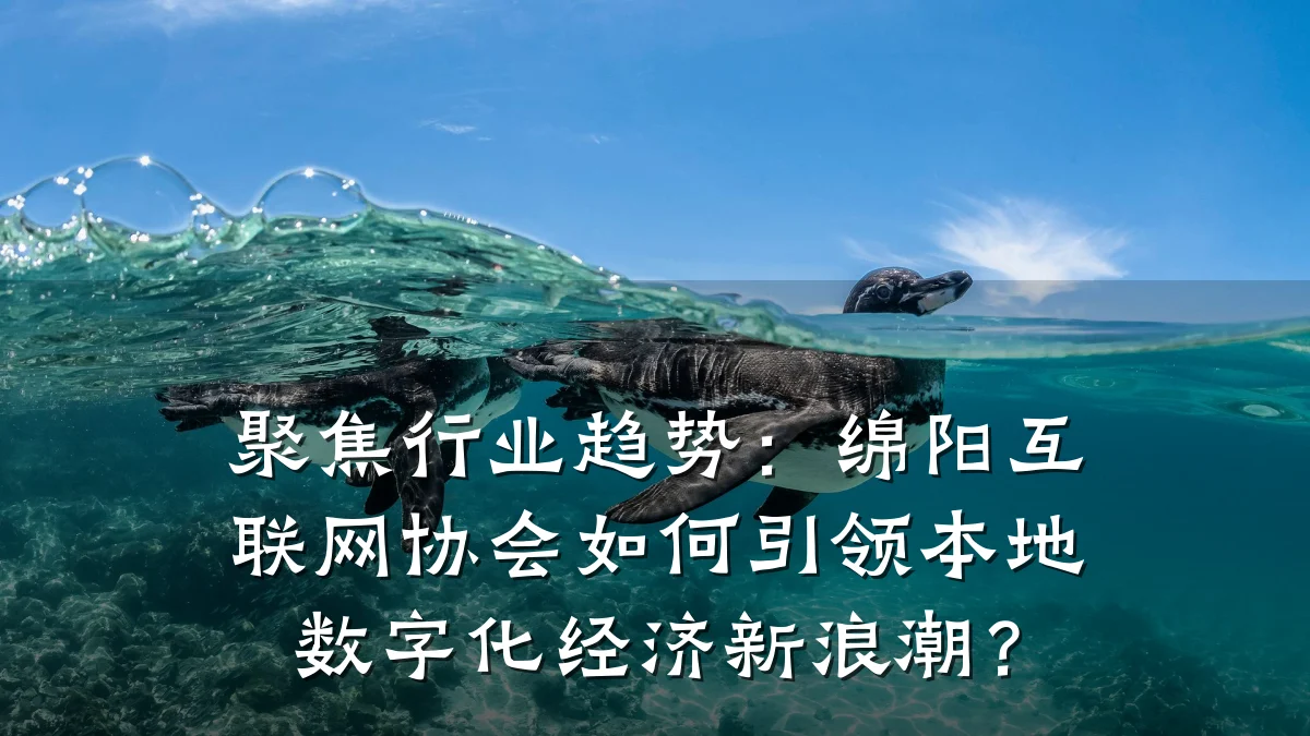 聚焦行业趋势:绵阳互联网协会如何引领本地数字化经济新浪潮?
